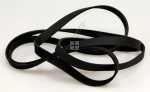 Drive Belts - 81429110 Belt [Candy Hoover]