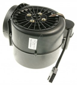 Airforce Motor - Motor