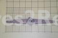 Spray Arm - 1039326 Upper Shower Fitting 45 [Amica]